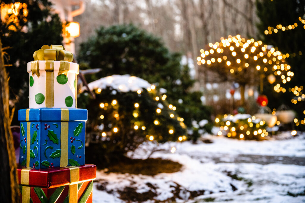 Holiday Lighting by Pungitore Irrigation & Fertilizer 
Photo Cred: Drew Lederman Photography